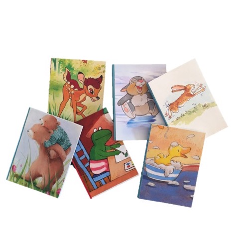 Notitieboekjes prentenboeken