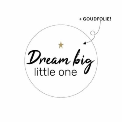 Sticker Dream big little one
