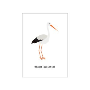 Ansichtkaarten geboorte